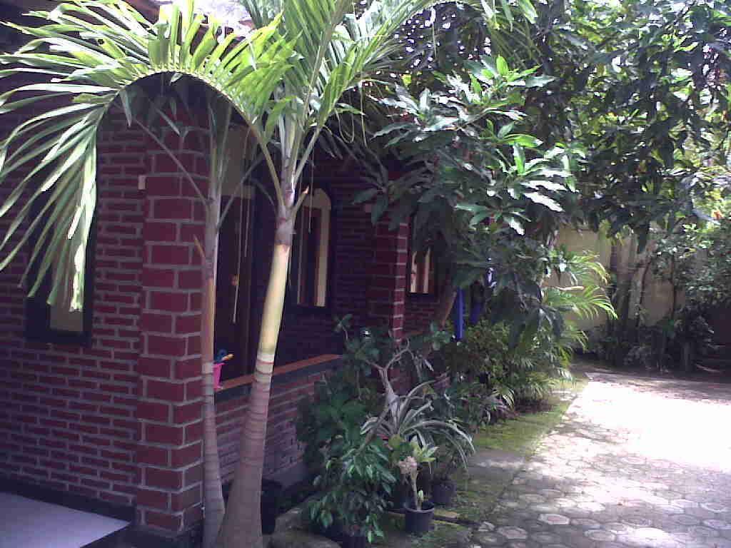 Rinjani Homestay ปางันดารัน ภายนอก รูปภาพ