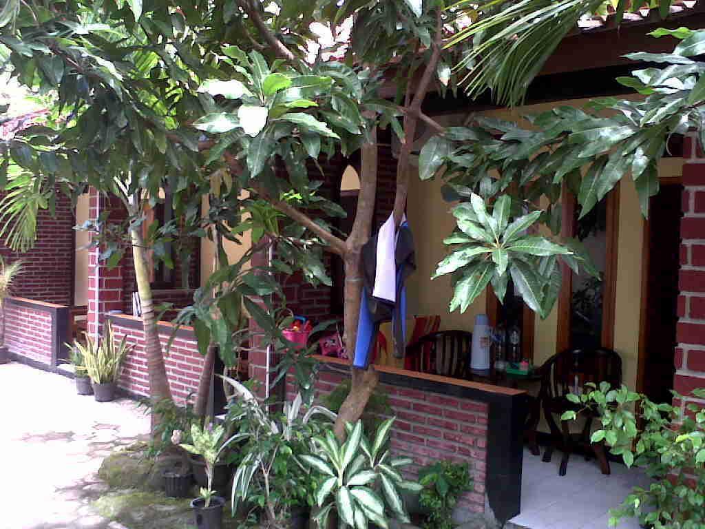 Rinjani Homestay ปางันดารัน ภายนอก รูปภาพ
