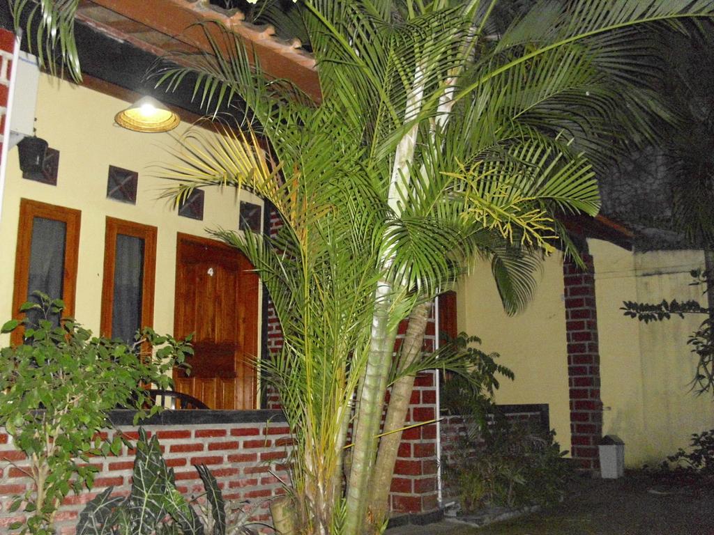 Rinjani Homestay ปางันดารัน ภายนอก รูปภาพ